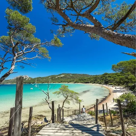 Location Au Lavandou Lejlighed Le Lavandou