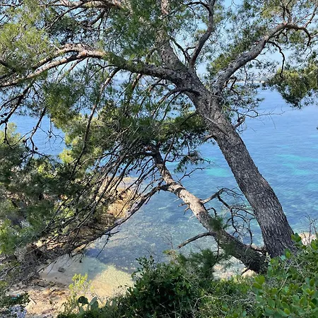 Lejlighed Location Au Lavandou